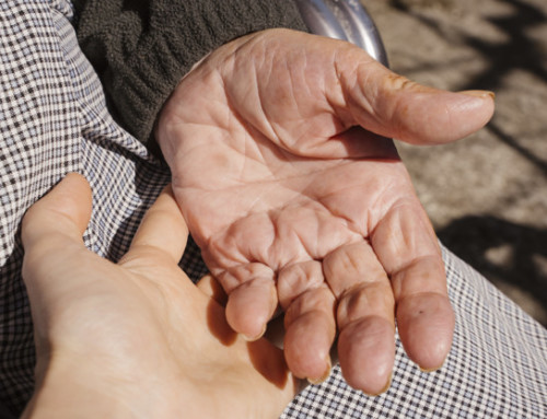 Fisioterapia Geriátrica